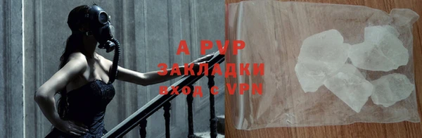 героин Богданович