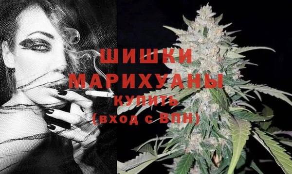 стаф Богородицк