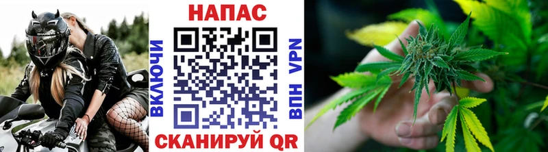 кракен зеркало  Гаврилов-Ям  Шишки марихуана марихуана  как найти закладки 